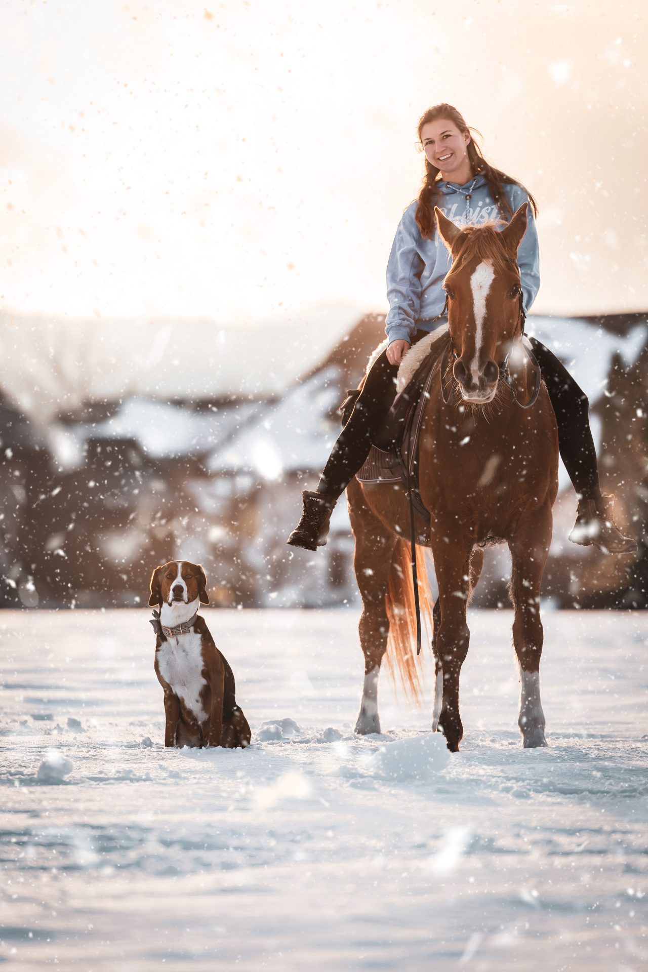 Reiten_WinterShooting_Pferd1